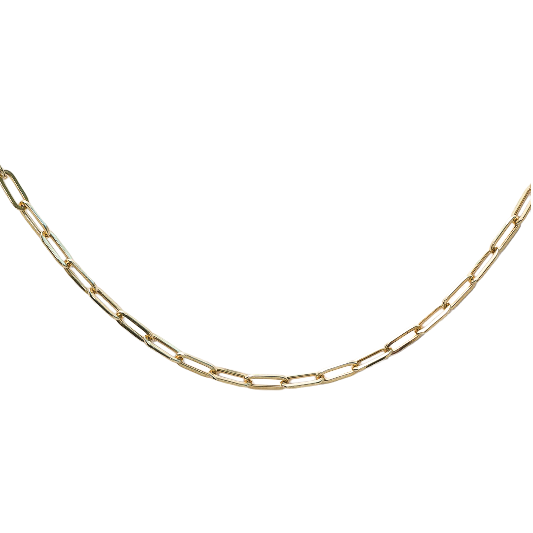 senoe 10k yellow gold paperclip chain necklace on a white background 