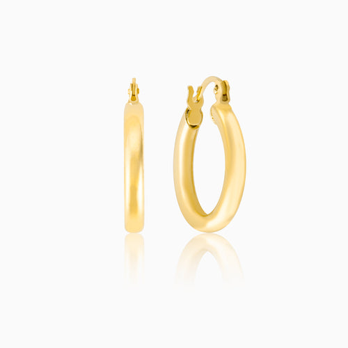 senoe classic hoop earrings in 10k yellow gold on a white background 
